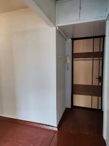 Четырёхкомнатная квартира по ул. Горелика, д. 52