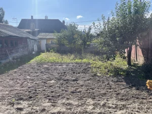 Дом в цетре