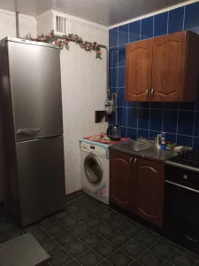 Однокомнатная квартира рядом с Дворцом искусств