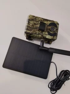 Фото ловушки