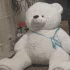 Плюшевого медведя