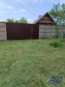 Дом с участком в аг. Красное, Осиповичский р-н