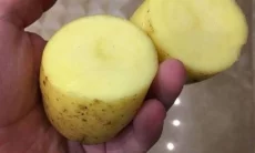 Картофель