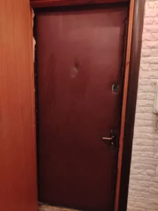 Входная металлическая дверь