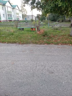 Чья овчарка с цепи сорвалась? Кировск