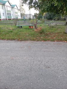Чья овчарка с цепи сорвалась? Кировск