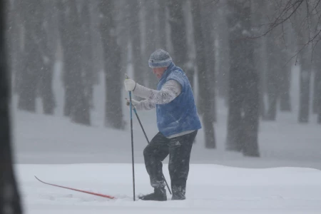 Если в этот снегопад вы не выходили из дома - Бобруйск сейчас выглядит так