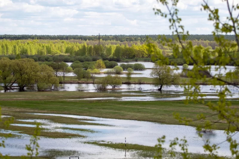 Уровень воды в Березине у Бобруйска растет