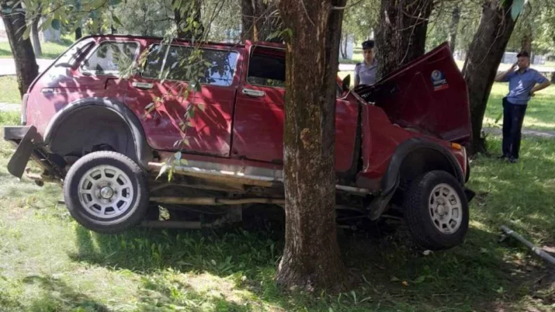 В Бобруйске автомобиль «затормозил» о деревья
