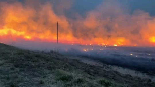 В Бобруйском районе замечены первые палы сухой растительности