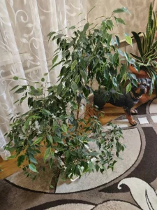 Работа для водителей