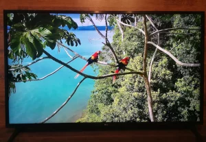 Телевизор 50" LG