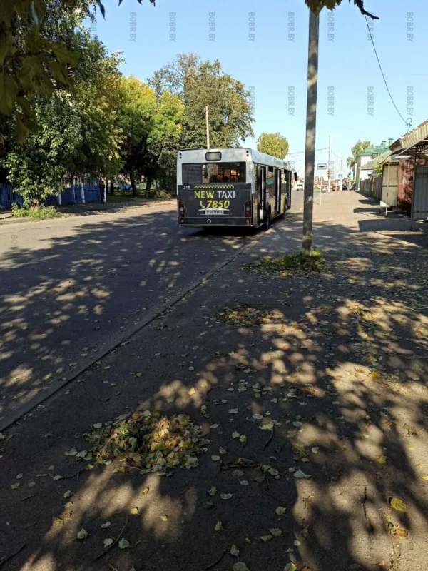 Загадочные ямы на тротуаре рядом с остановкой автобуса 5 на Держинского