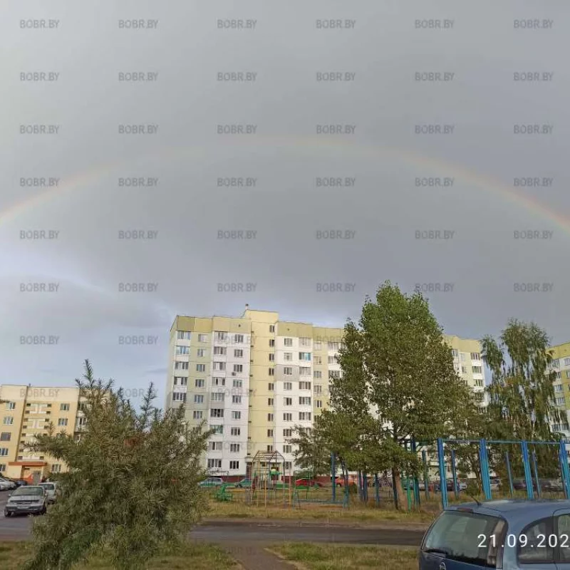 Чудо природы.