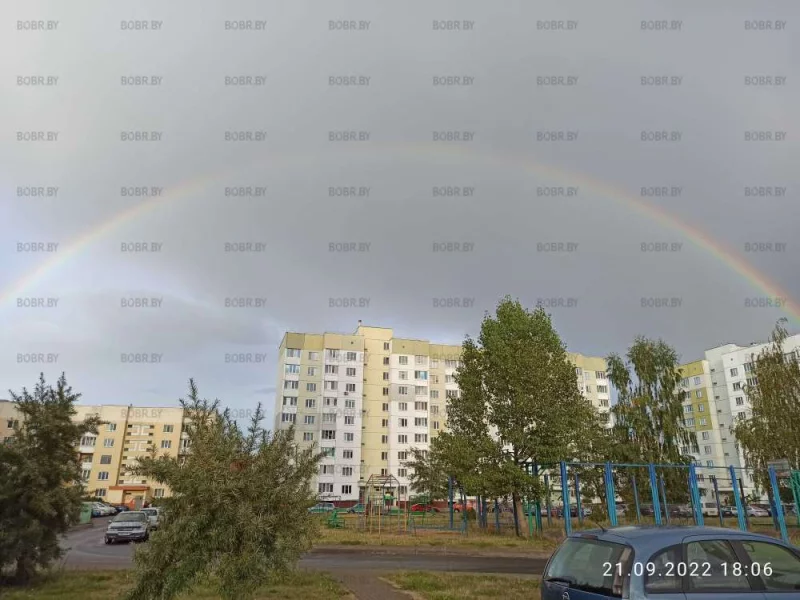 Чудо природы.
