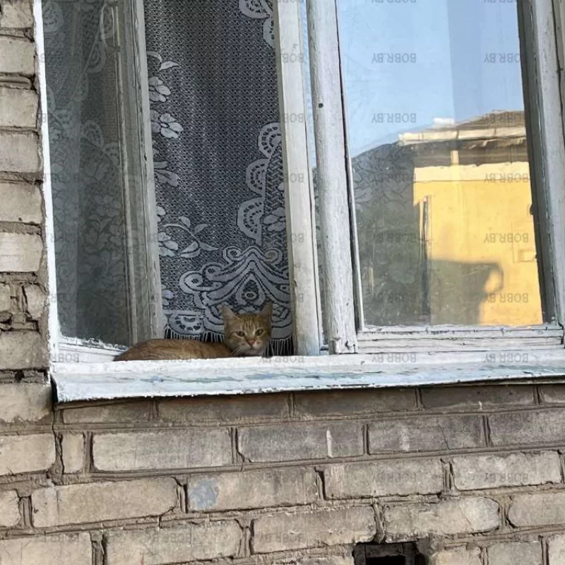 На сквознячке