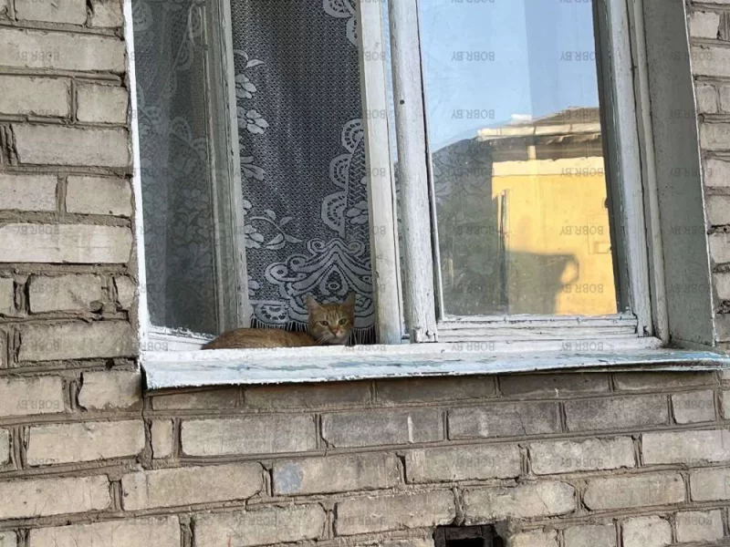 На сквознячке