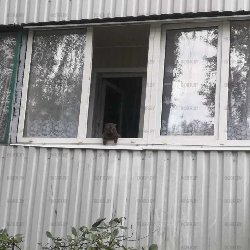 Охранник балкона))) 