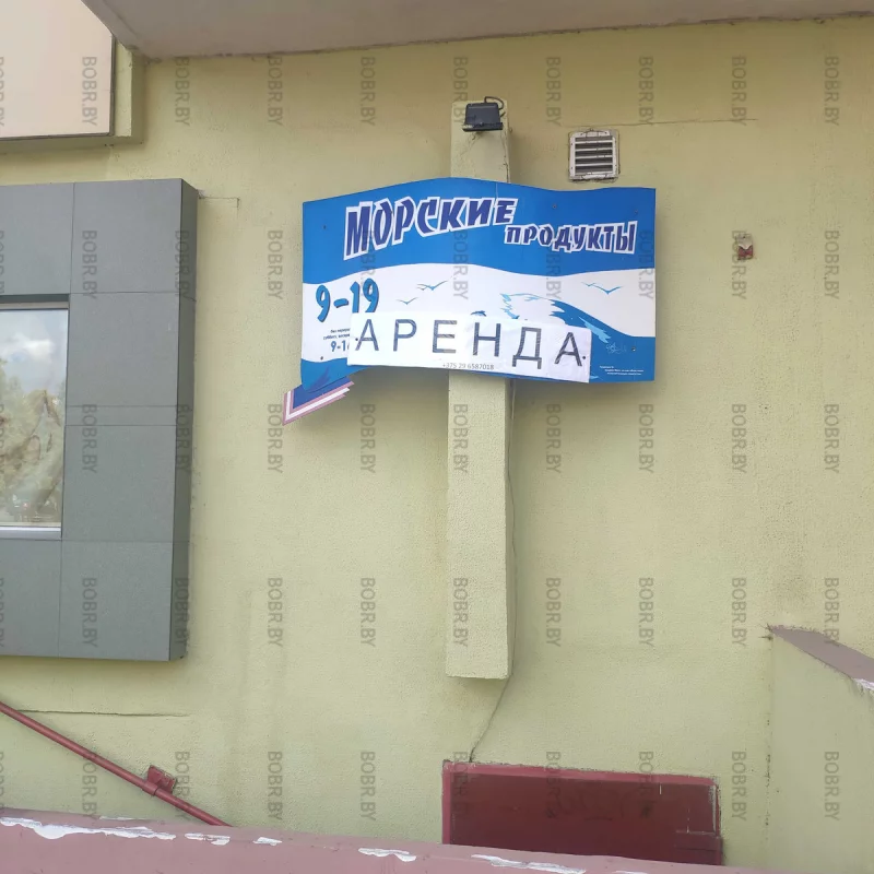 Закрылся старейший магазин морепродуктов на улице Минской точка предлагаю переименовать город Бобруйск в город Аренда.