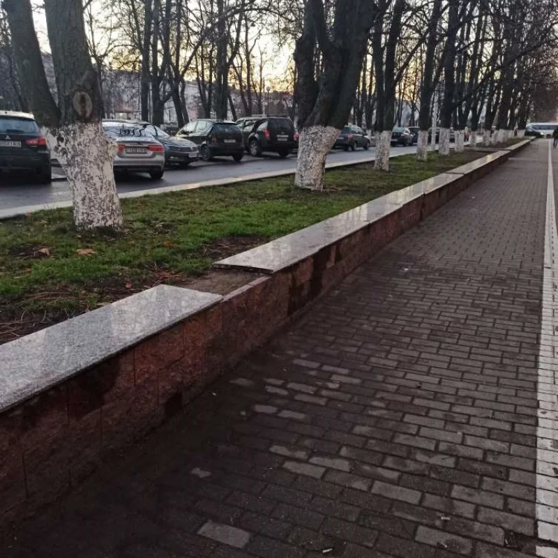 Кто смелый и крадёт с Площади?