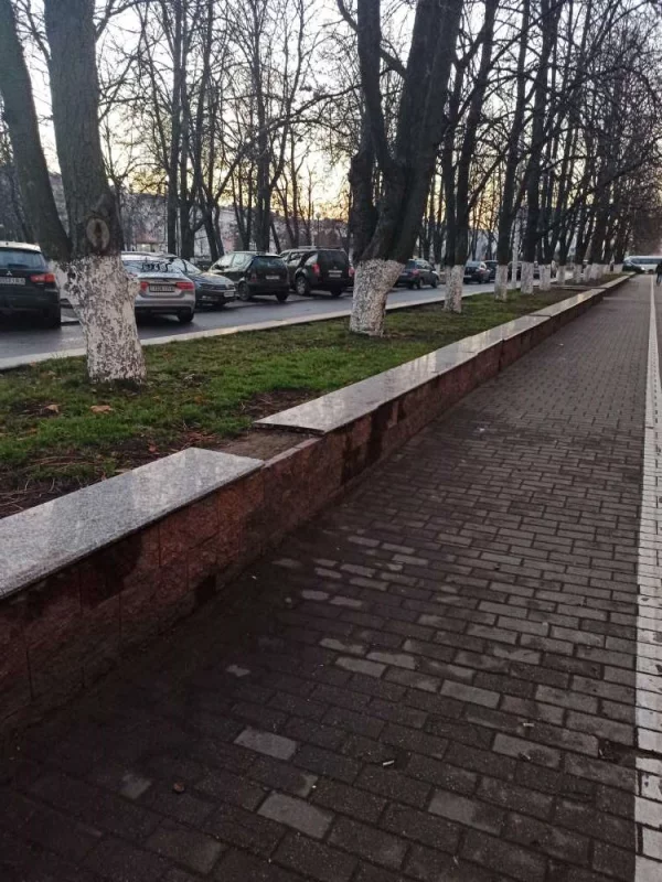Кто смелый и крадёт с Площади?