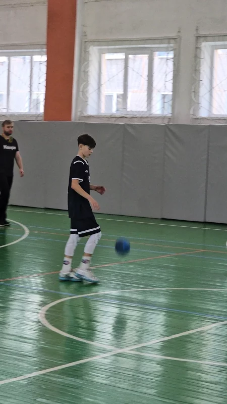Чемпионат по гандболу