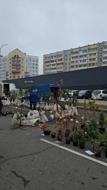 Фермерский рынок сейчас в Бобруйске на улице Горького