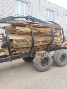 Горбыль дубовый