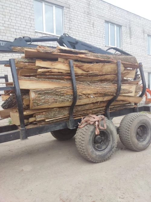 Горбыль дубовый