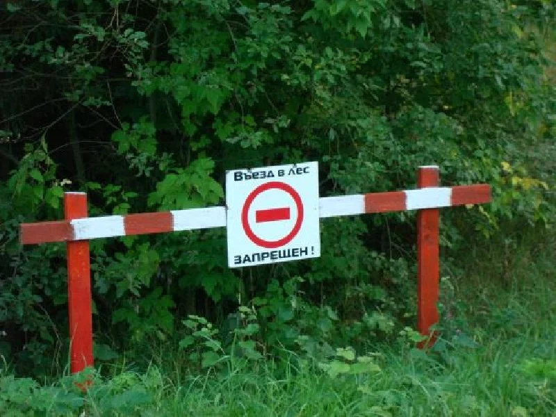 Пребывание в лесах запрещено