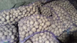 Картофель деревенский