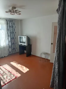 1-комнатная квартира рядом с гор.парком по ул. Московская, 100