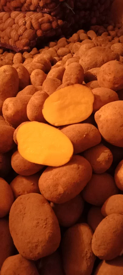 Картофель.Доставка