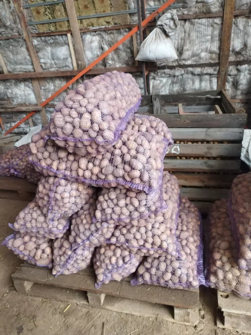 Зерно, картофель