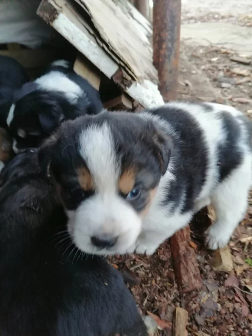 Красивые малыши