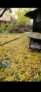 Дом по ул. Рабочая 52, 15.000 у.е