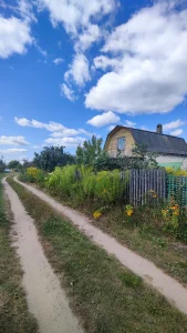Дача в СТ"Боровинка"
