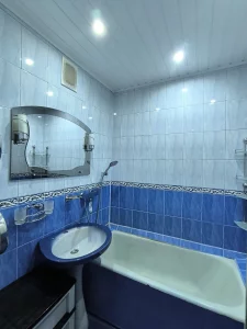 Трёхкомнатная квартира на ул. Димитрова