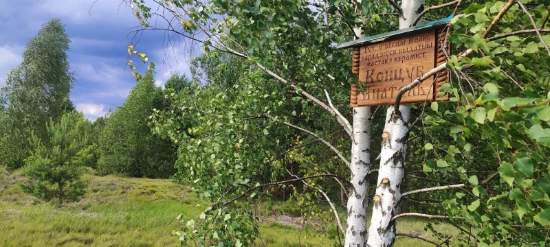 Болотный туман прочитает. Бобруйские поклонники художника Анатолия Концуба установили мемориальную доску в заказнике Ольманские болота