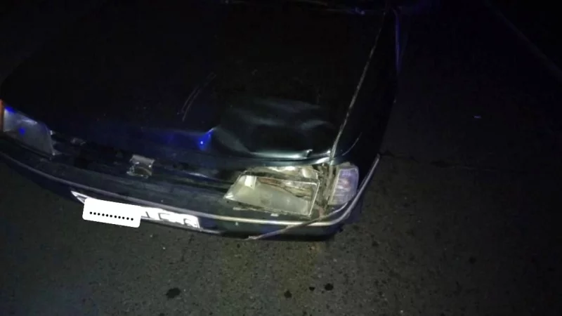 На выезде из Бобруйска пострадал пешеход. Свидетелей просят помочь