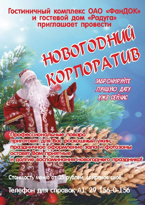 Гостевой дом Радуга приглашает провести Новогодние праздники