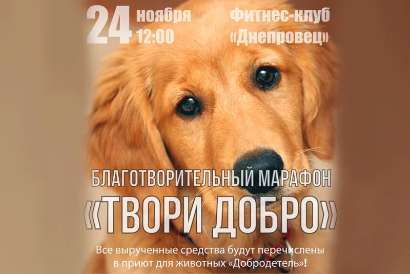 Твори добро! Фитнес-марафон от ДНЕПРОВЕЦ