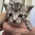 Ласковые девочка и мальчик ищут дом