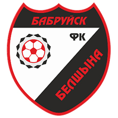 Белшина. Бобруйский футбольный клуб