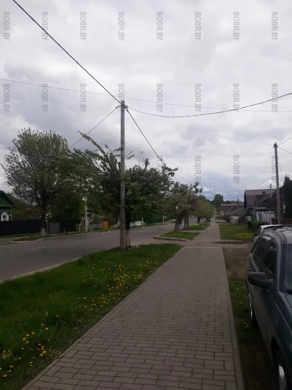 Шедевры зеленхоза