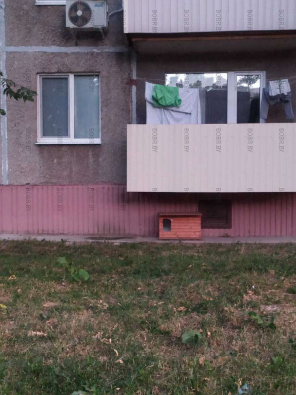 Есть же хорошие люди, которые помогают животным