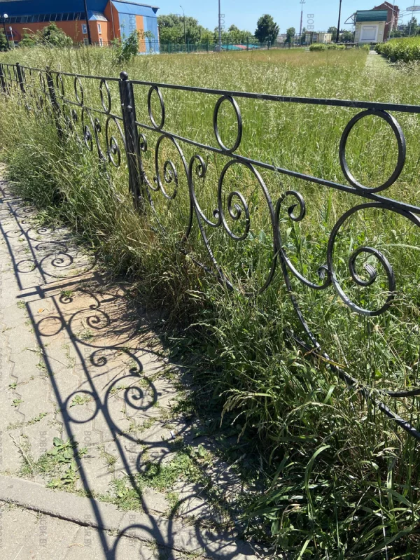 Тянемся к солнцу