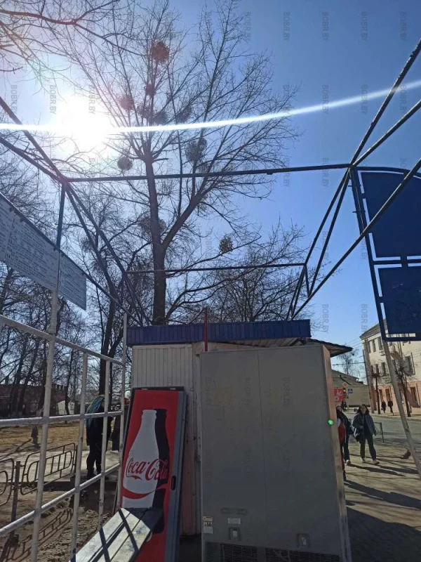 Весной даже остановкам "сносит" крышу