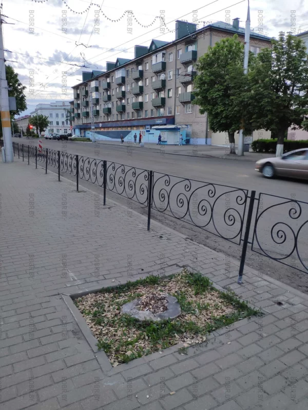 Было дерево, теперь пень. Неужели это место нельзя покрыть тротуарной плиткой, чтобы была ровная площадка или высадить новое дерево?