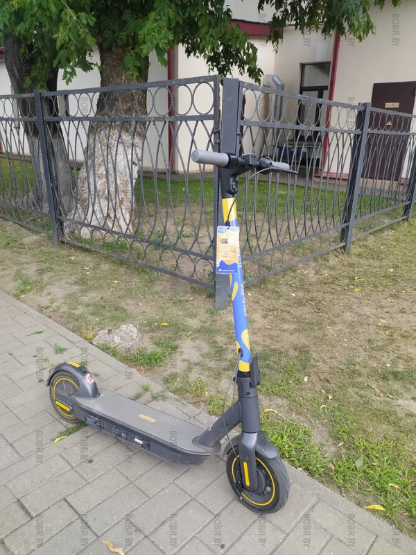В Бобруйске появился прокат электросамокатов